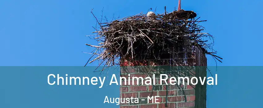  Chimney Animal Removal Augusta - ME