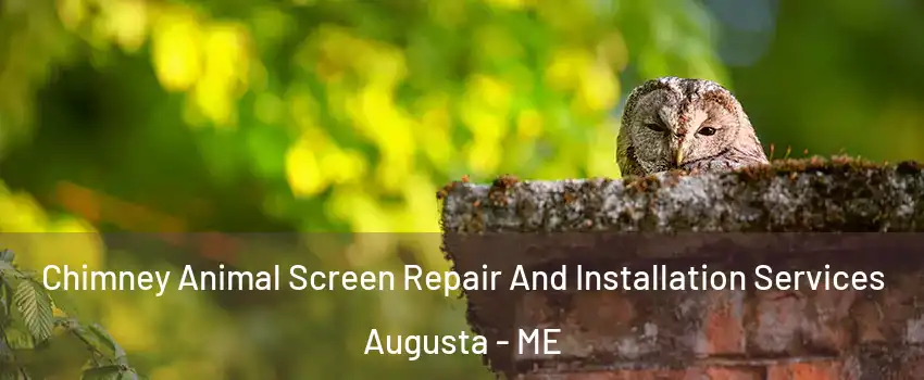  Chimney Animal Screen Repair And Installation Services Augusta - ME