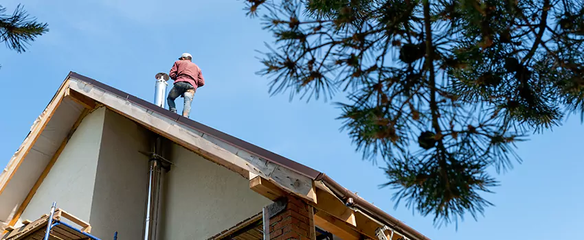 Birds Removal Contractors from Chimney in Augusta, ME